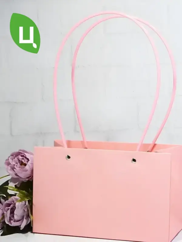 Сумка для цветов, подарочный плайм пакет 22*11*14 10 шт