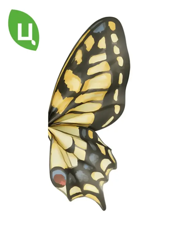 Бумага упаковочная Пусан Желтый 50*56см 20шт