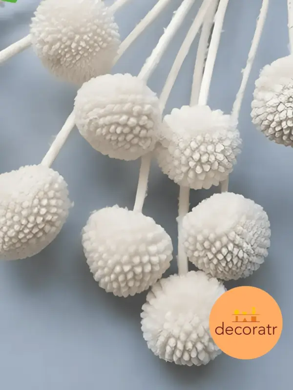 Краспедия натуральный сухоцвет белый 50 см 10 шт