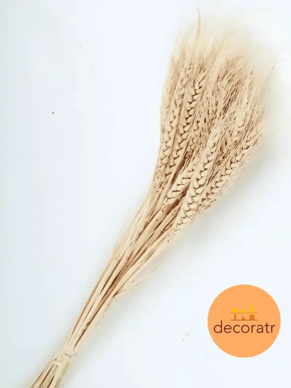 Сухоцветы натуральные колоски пшеницы 60 см 30 шт