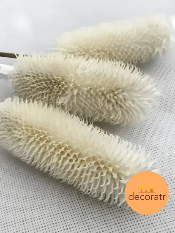 Ворсянка натуральные веточки сухоцвета белого 65 см