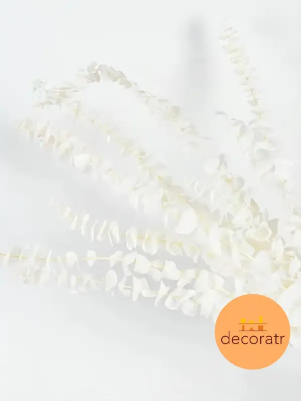 Натуральные листья эвкалипта стабилизированные белые 70 см