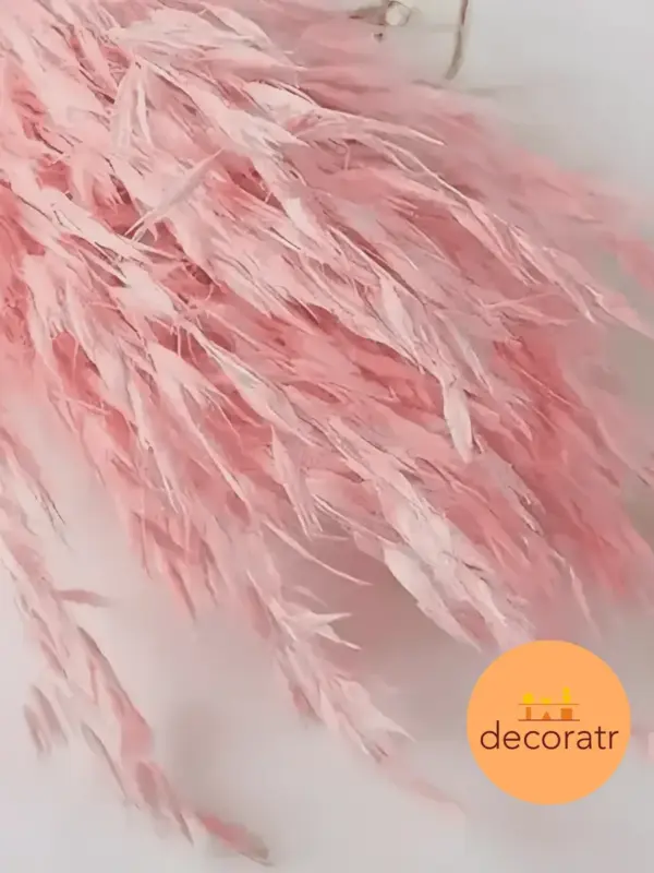 Бамбуковая трава (рускус) натуральные веточки сухоцвета 65см