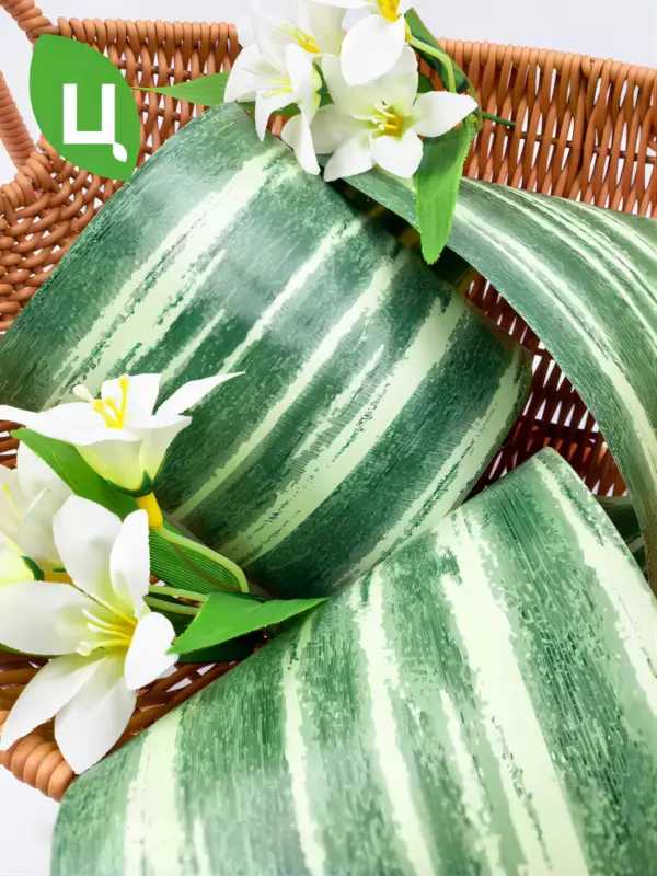 Лента флористическая аспидистра зелёная 10CM*50M Y25-03