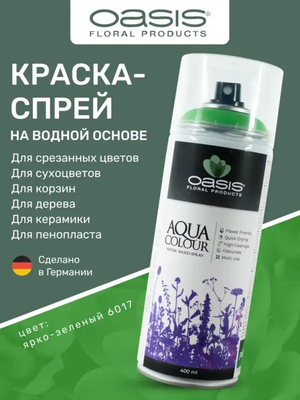 Краска спрей для цветов, сухоцветов, декора №6017