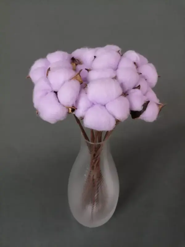 Хлопок сухоцветы цветы сиреневый 10 шт