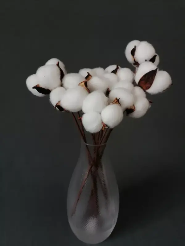 Хлопок белый сухоцвет 10шт 40 см