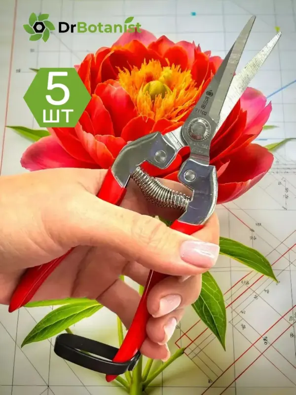 Секатор-ножницы для цветов домашний, для орхидей 5 шт