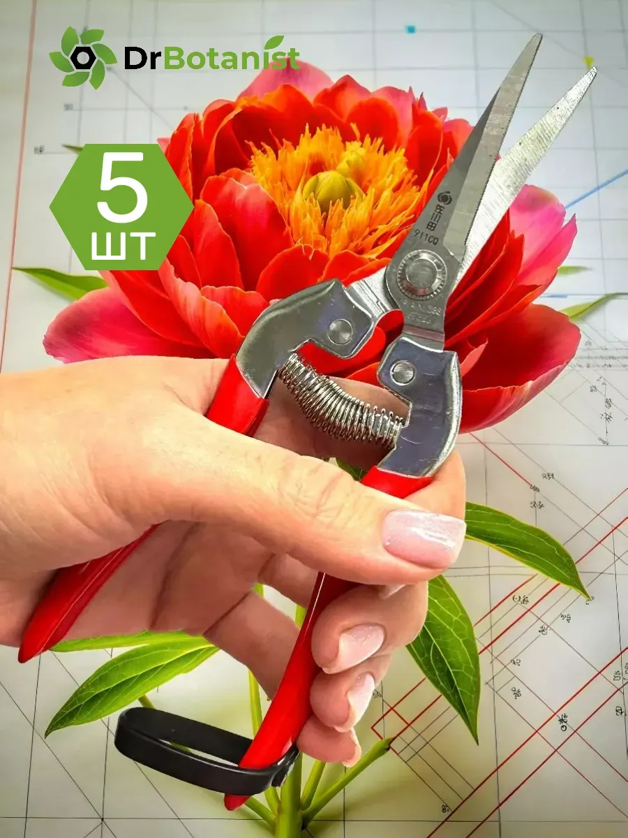 Секатор-ножницы для цветов домашний, для орхидей 5 шт
