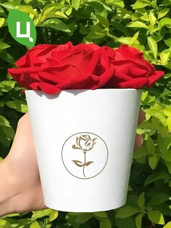 Коробка для цветов картонная белая мини-букет 11см