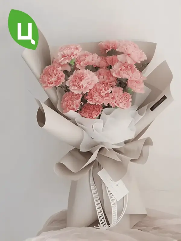 Бумага (пленка) упаковочная Нагчу кофейная 58*58см 20шт