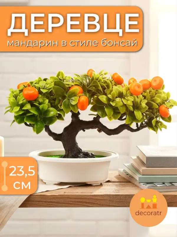 Мандариновое декоративное мини дерево бонсай