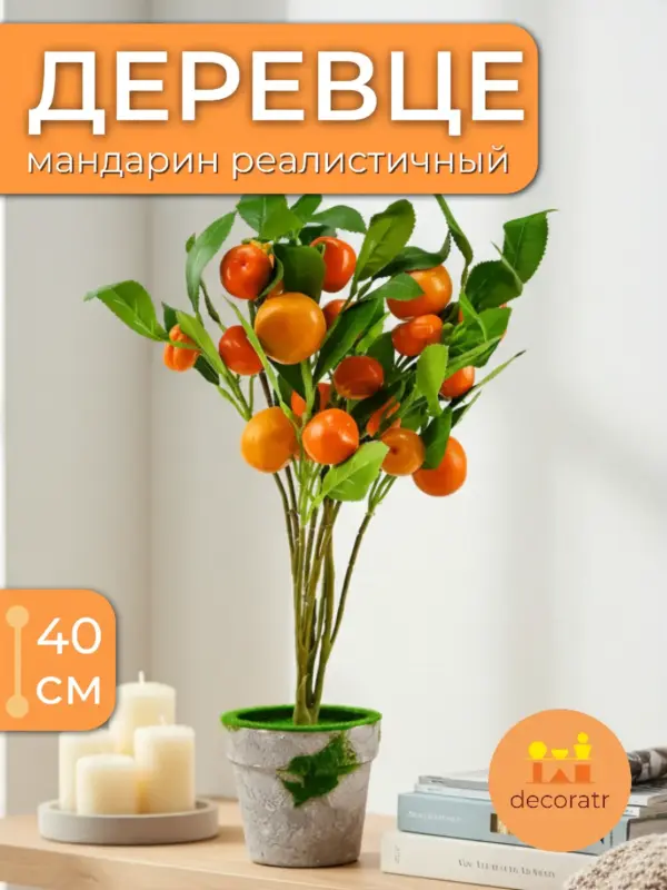 Мандариновое декоративное мини дерево бонсай