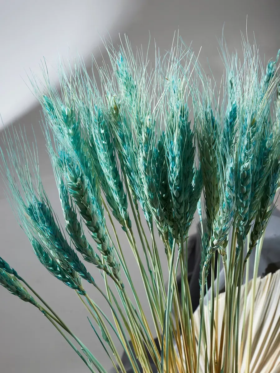 Сухоцветы натуральные колоски пшеницы 50 шт 65 см — изображение 2