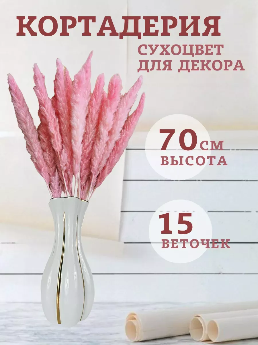 Пампасная трава Кортадерия сухоцвет натуральный — изображение 2