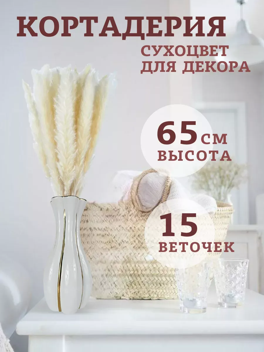 Пампасная трава Кортадерия сухоцвет натуральный — изображение 2