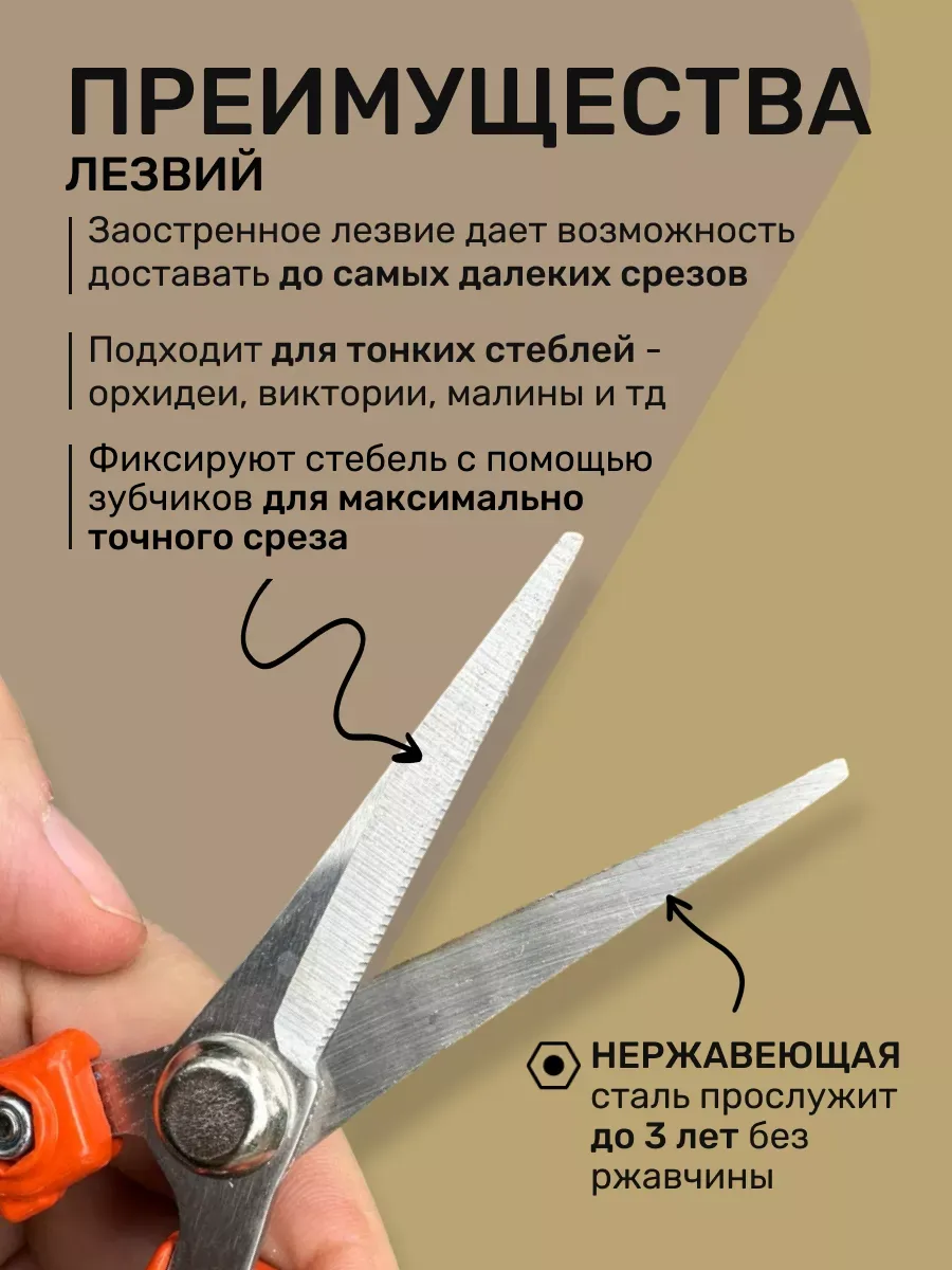 Секатор-ножницы для цветов домашний, для орхидей и лаванды — изображение 2