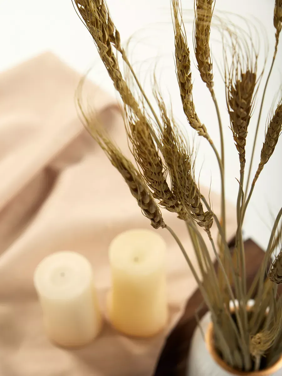 Сухоцветы натуральные колоски пшеницы 50 шт 65 см — изображение 3