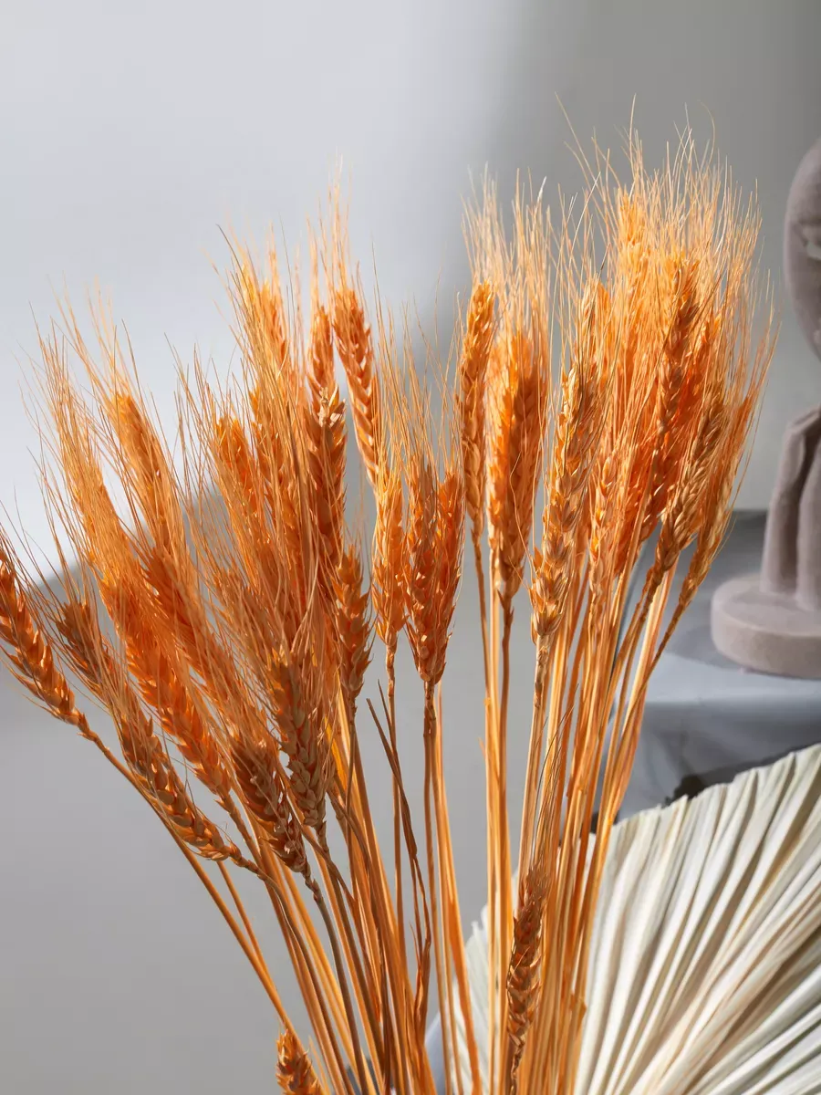 Сухоцветы натуральные колоски пшеницы 50 шт 65 см — изображение 4